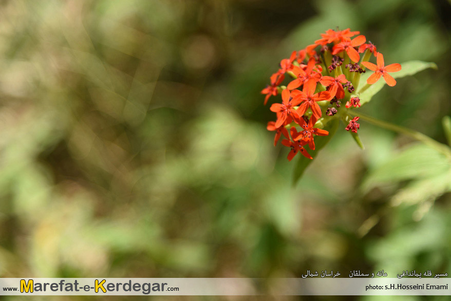 جاهای دیدنی مانه و سملقان